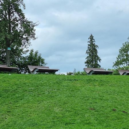 Fewo Zur Alten Tischlerei Herzberg am Harz Ngoại thất bức ảnh