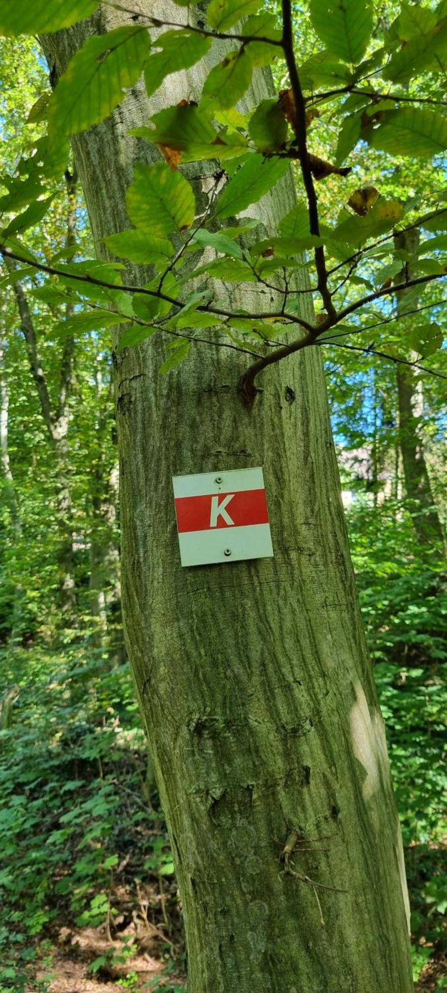 Fewo Zur Alten Tischlerei Herzberg am Harz Ngoại thất bức ảnh
